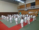 KARATE GRENOBLE HOCHE 38000