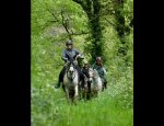 FERME EQUESTRE CRINIERES AUX VENTS Mouais