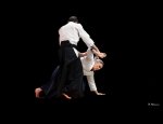 AIKIDO ARTS MARTIAUX COLMAR OFFICIEL Colmar