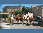 LES CHEVAUX DU BESSILLON Carcès