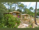 CAMPING DES PINS 33780