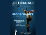 ASSOCIATION LES PIEDS NUS 29200