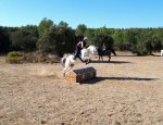 CENTRE EQUESTRE SALONAIS 13300